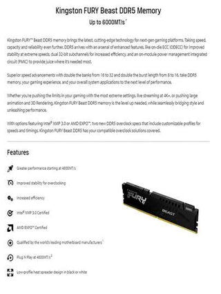 KINGSTON Kingston وحش الغضب DDR5 16GB / 32GB 6000MHz ذاكرة الوصول العشوائي للكمبيوتر المكتبي المتحمسين للألعاب (أسود)