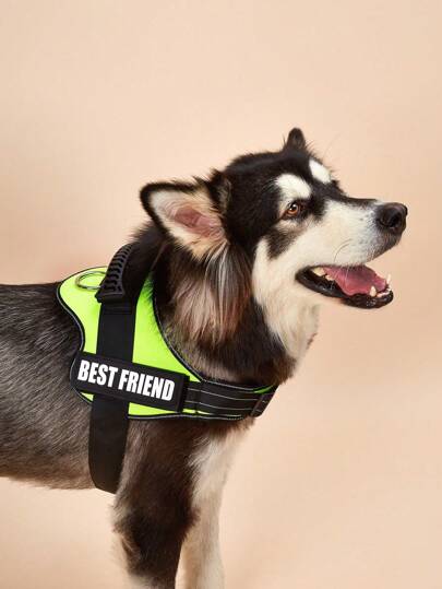 حزام ظهر صدر ضوء LED مانع للانفجار بلون أخضر فلوري مع صدرية تناسب كلاب الحجم الصغير والمتوسط والكبير في الخارج للتدريب والمشي