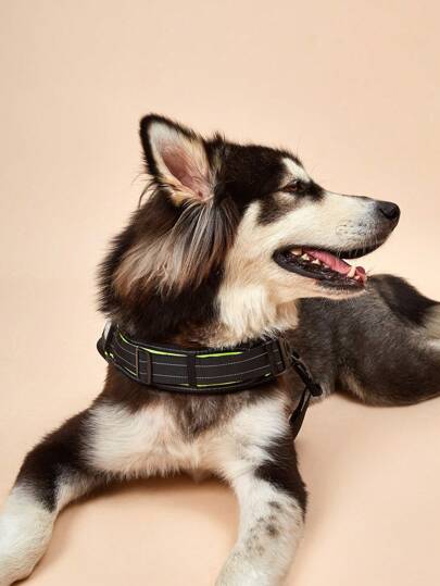 حزام ظهر صدر ضوء LED مانع للانفجار بلون أخضر فلوري مع صدرية تناسب كلاب الحجم الصغير والمتوسط والكبير في الخارج للتدريب والمشي