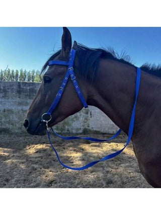 مجموعة نايلون لرباط حصان الفرقعة الجانبية والخطافات والرباطة