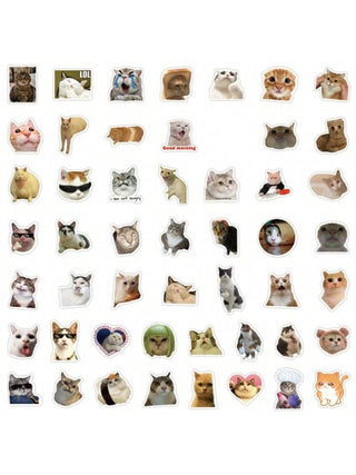 100 قطعة ملصقات قطط مضحكة ملصقات جمالية فينيل للتزيين مفكرة, كمبيوتر محمول, لوحة مقطورة, لوح التزلج, زجاجة مياه, حاسوب, هاتف, كرتون, قبعة صلبة, ملصقات وتصميمات سيارة, ملصقات قطط, ملصقات صور مضحكة للقطط, ملصقات كيوت