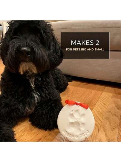 1 طقم طين بصمات أقدام القطط والكلاب - مجموعة تذكارية DIY مع إطار، طلاء ذهبي، فرشاة، قالب صندوق، قالب حرف، وشريط لهدية عيد ميلاد الحيوان الأليف، مواد: طين، تشمل 2 كيس من طين الطباعة