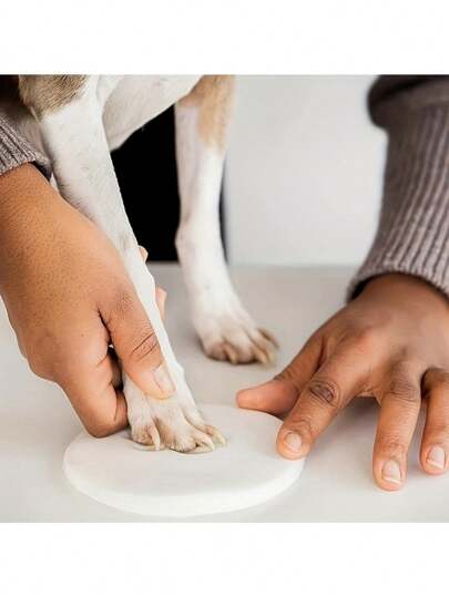 1 طقم طين بصمات أقدام القطط والكلاب - مجموعة تذكارية DIY مع إطار، طلاء ذهبي، فرشاة، قالب صندوق، قالب حرف، وشريط لهدية عيد ميلاد الحيوان الأليف، مواد: طين، تشمل 2 كيس من طين الطباعة