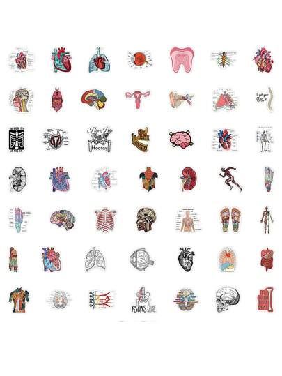 50 قطعة ملصقات تشريحية مقاومة للماء من التصميمات التشريحية ، مناسبة للطلاب ، المعلمين ، زجاجات المياه ، الأجهزة المحمولة ، الكتب المصورة - ملصقات تشريح الجسم البشري