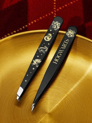 HARRY POTTER X SHEIN مجموعة مقرمشة الحواجب بتصميم الحروف والحيوانات 2 قطعة، هوجوارتس، هاري بوتر، هدايا