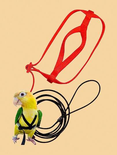 طقم سرج وعنان للببغاء، لعب تدريب على الطيران للحيوانات الأليفة، مناسب للتنزه بالطيور خارج المنزل
