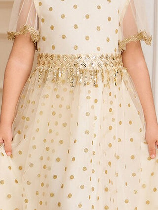فستان أطفال Glamorique Kids فستان من الشباك الحريري بنقش البولكا نقاط الذهبي والثريا، قماش شفاف ملؤه الأحلام، مناسب لحفلات عيد الميلاد والمناسبات العائلية، يمكّن الفتيات الصغيرات من جذب الأنظار وإبراز حلاوتهن وأناقتهن