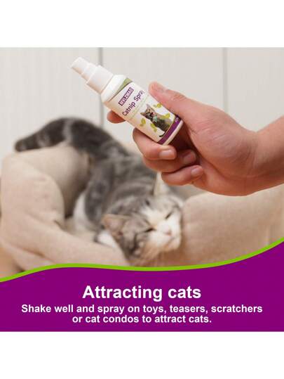 رذاذ نبات القط للقطط، رذاذ تحفيز قراش القطط، رذاذ شفاف لسلوك القطط والقطط الصغيرة سعة 60 مل لغرض التدريب