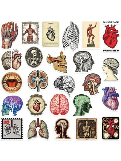 50 قطعة ملصقات طبية بشكل تشريحي، ملصقات طبية مضحكة، ملصقات فنية، ملصقات غرافيتي، ملصقات رائعة، ملصقات فينيل للأجهزة المحمولة والأجهزة والكمبيوتر والهاتف واللوحات والحقائب وغيرها