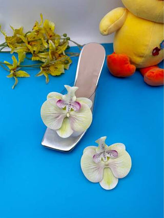 اكسسوارات تزيين الأحذية عالية الجودة قابلة للفك من فراشة وغشاء بلاستيكي