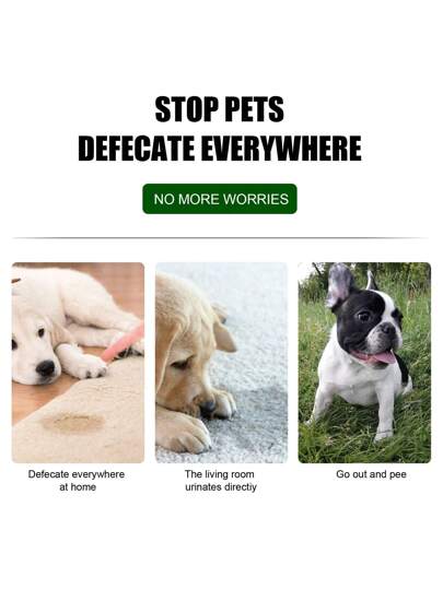 رذاذ التدريب على التبرز للحيوانات الأليفة سعة 30 مل، يحل بسهولة مشكلة البول والبراز للحيوانات الأليفة! يرشدها بدقة إلى المواقع المخصصة، وداعا للفوضى والحوادث المؤسفة. استخدم مع أوامر التدريب للحصول على أقصى تأثير، مناسب للقطط والكلاب والحيوانات الأليفة ال