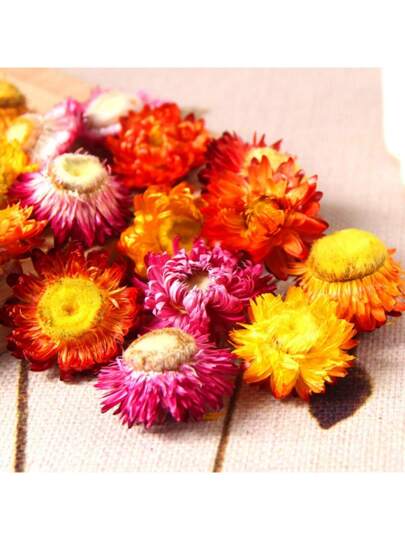 حزمة واحدة (30 جرام) من الزهور المجففة المتنوعة - وردة بينجين ، كرنب متعدد الألوان ، عباد الشمس ، خزامى ، قرنفل. مناسب لشموع وصابون وديكورات عطرية يدوية الصنع ، ديكور المنزل في غرفة المعيشة والنوم والمكتب ، وديكور الفعاليات