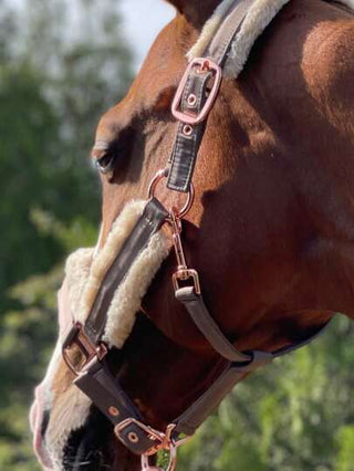 TGW RIDING مقود حصان من الفرو الصوفي مع شريط بارز قابل للفك، بتصميم إبزيم مزدوج قابل للضبط والإطلاق السريع