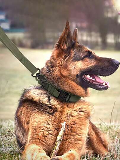 مجموعة طوق وزمام كلاب متينة 2 قطعة، طوق كلاب تكتيكي قابل للضبط ، أكسسوارات تدريب كلاب كبيرة وذئب ألماني