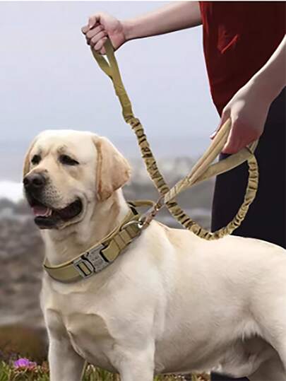 مجموعة طوق وزمام كلاب متينة 2 قطعة، طوق كلاب تكتيكي قابل للضبط ، أكسسوارات تدريب كلاب كبيرة وذئب ألماني