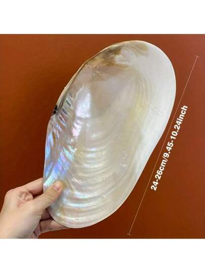 قطعة واحدة صينية مزخرفة على شكل صدفة بحرية كبيرة الحجم ذات لمعان اللؤلؤ، وعاء زخرفي يدوي الصنع، إكسسوار لتصوير المجوهرات وديكور المنزل، هدية جميلة للعائلة والأصدقاء، ديكور لحفل الزفاف