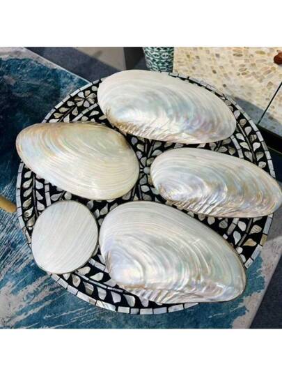 قطعة واحدة صينية مزخرفة على شكل صدفة بحرية كبيرة الحجم ذات لمعان اللؤلؤ، وعاء زخرفي يدوي الصنع، إكسسوار لتصوير المجوهرات وديكور المنزل، هدية جميلة للعائلة والأصدقاء، ديكور لحفل الزفاف