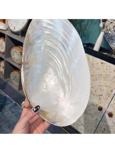 قطعة واحدة صينية مزخرفة على شكل صدفة بحرية كبيرة الحجم ذات لمعان اللؤلؤ، وعاء زخرفي يدوي الصنع، إكسسوار لتصوير المجوهرات وديكور المنزل، هدية جميلة للعائلة والأصدقاء، ديكور لحفل الزفاف