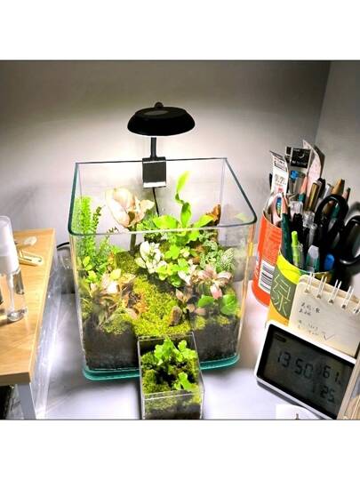 1 قطعة مصباح أكوا نابض بالحياة صغير، يعمل بالطاقة USB ، إضاءة ساطعة، شفاف، قابل للضبط 360 درجة، مناسب لخزانات الأسماك - إضاءة مكتب مدمجة لنباتات المياه