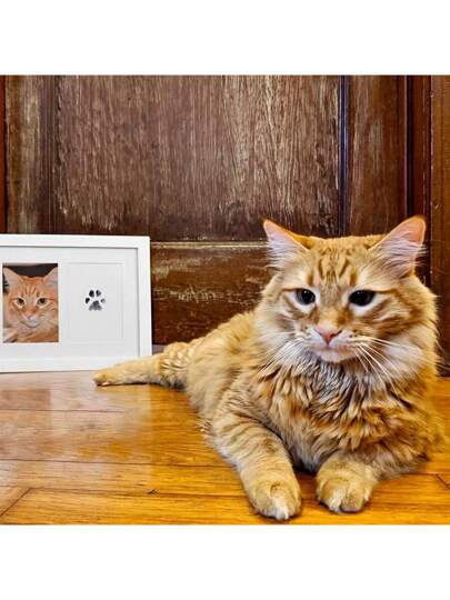 بصمات أقدام الحيوانات الأليفة كذكريات دون حبر، مثالية لإحياء ذكريات نمو القطط والكلاب، والاحتفاظ بذكريات ثمينة لحيواناتك الأليفة، هدايا عيد الحب (قم بإزالة الشعر بين أقدام الحيوان لتحقيق تأثير جميل)