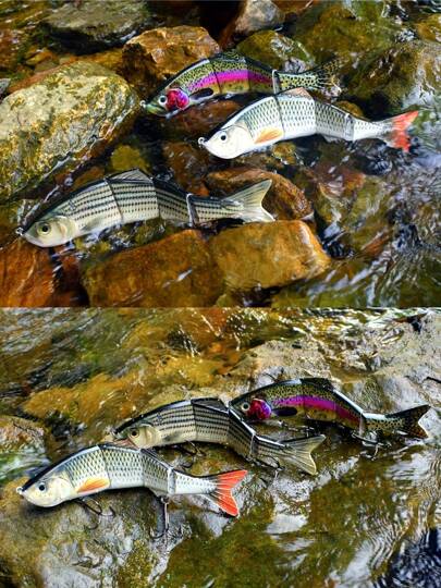 قطعة واحدة من طعم صيد السمك (لوري) 6 بوصة مقسم إلى 4 أقسام لصيد أسماك القاروص الكبيرة و السمان، ذو شكل سمكة حقيقي