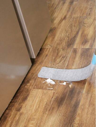 فرشاة تنظيف قابلة للتمديد متعددة الوظائف - فرشاة تنظيف قابلة للتعديل (للجاف والرطب) | مناسبة لأرضية الأثاث/السقف المرتفع/أرضية الأريكة والسرير | جامع أتربة من الميكروفيبر مع عصا التمديد | أداة تنظيف الفجوات في الأجهزة المنزلية