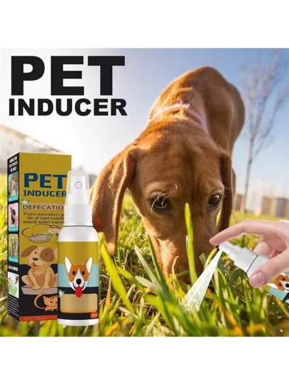 جذاب تدريب قطط وكلاب على التغوط في المرحاض والصندوق الرملي