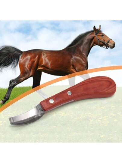 سكين حافر الخيل المحترف، من الفولاذ المقاوم للصدأ، مع مقبض خشبي إرجونوميكي، مثالي لتقليم وعناية حوافر الخيول، أداة بيطرية لصيانة حوافر الخيول