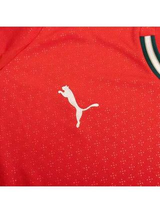 Puma قميص بأكمام قصيرة نسخة من قميص منتخب البرتغال المنزلي، نوع خلية جافة قابل للتهوية بياقة دائرية، نسخة لمشجعي المنتخب الوطني، ملابس تدريب رجالية 779190-01