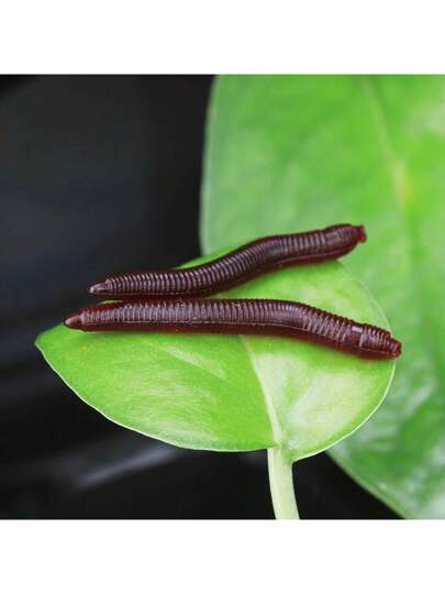 50- 200 قطعة من طعوم السمك الناعمة الاصطناعية على شكل دودة بطول 3.5سم و وزن 0.15غرام، طعوم حقيقية لصيد الباس، معدات صيد السمك