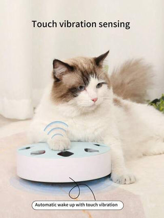 قطعة واحدة من صندوق القطة السحري ذاتي التحريك لتدريب الشعر يناسب القطط لتسليتها وتخفيف الملل لديها