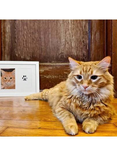 طقم بصمة قدم الحيوانات الأليفة (للكلاب والقطط) - إطار 5 بوصة ، وسادة بصمة نظيفة للحيوانات الأليفة بدون حبر ، للحفاظ على بصمة قدم القط / الكلب كذكرى للحيوانات الأليفة