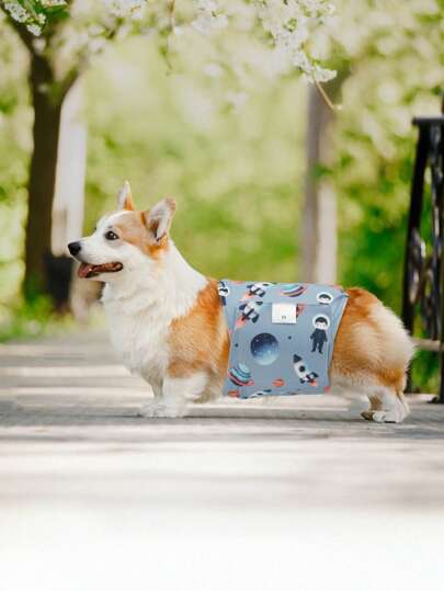 قطعة واحدة حزام بطن كلب ذكر عالي الامتصاصية، حفاضات كلاب ذكور قابلة للغسل، مناسب لعدم إنقطاع البول عند الكلاب الذكور والتدريب على الجراء، مناسب للكلاب متوسطة وصغيرة الحجم