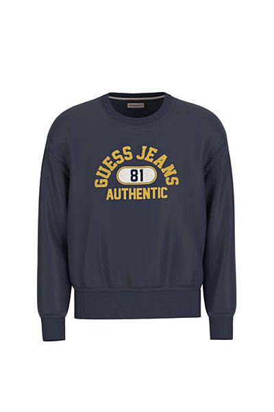 الجينز الرجال البلوز