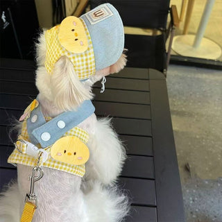 طقم سوار للكلاب من 3 قطع/2 قطع مع حزام صدر، قبعة جرو وقطة، ملابس كلاب للمشي مع مقود، قبعة ظل لطيور الصغيرة