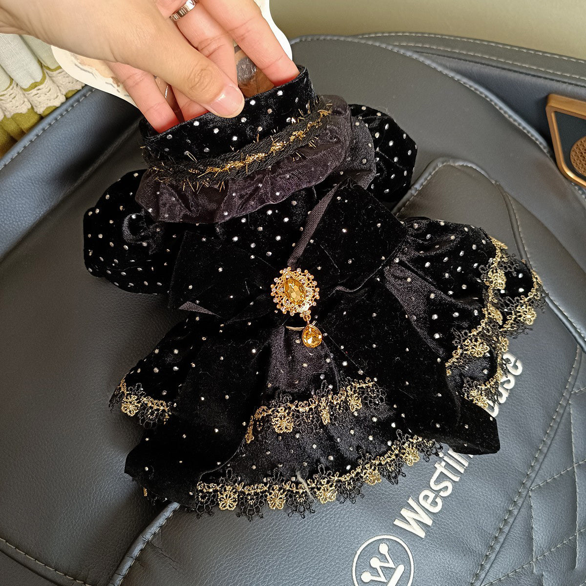 فستان زفاف أميرة للكلاب الصغيرة والقطط مع ربطة عنق