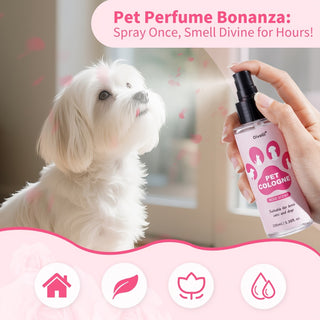 مجموعة رائحة الحيوانات الأليفة 3 قطع، تحافظ على الحيوانات الأليفة نظيفة دائمًا وبتصريح رائحة منعشة مع شامبو الحيوانات الأليفة، رذاذ عطر الحيوانات الأليفة، معالج الحيوانات الأليفة. يجعل شعر الحيوانات الأليفة منفوشًا وناعمًا، رائحة طويلة الأمد. مناسبة للقطط