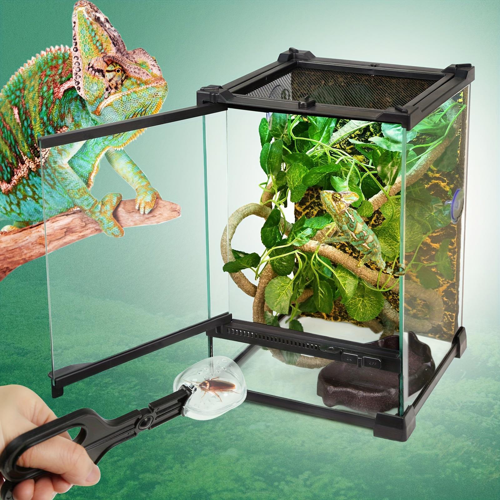 موطن الزواحف من الزجاج المقسى - مثالي للسحالي، الأخطبوط والثعابين | تراريوم مستطيل مع طبق تغذية | الديكور غير مشمول