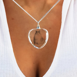 قلادة قلادة زجاجية على شكل قلب مخصصة - هدية تذكارية شخصية للحيوانات الأليفة للكلاب والقطط، مثالية لعيد الفصح، عيد الميلاد، عيد الشكر، عيد الأب، عيد الحب - هدية تذكارية فريدة لعيد الذكرى، قلادة للكلاب، هدية للأحباء للحيوانات الأليفة، تصميم على شكل قلب، قلا