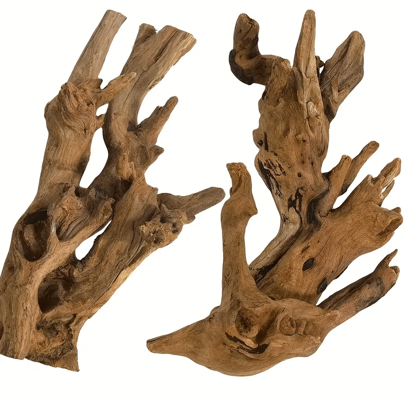 زينة طبيعية من الخشب المتدفق، فروع تسلق للزواحف، إكسسوارات موطن السلاحف، زخارف لمناظر الحوض السمكي، مخبأ سرطان النورس، زينات خزان الحيوي، تنسيق خشبي حقيقي لحوض الأسماك، ديكور حاوية الزجاج | خشب فريد