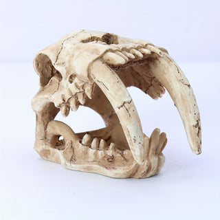 زينة راتنج جمجمة نمر السيف الواقعية - مثالية للأحواض الزجاجية وموائل الزواحف، ديكور مخبأ للأسماك