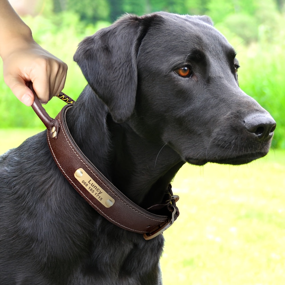 طوق كلب جلدي قابل للتخصيص مع مقبض - مشبك قابل للتعديل ومتين للكلاب المتوسطة الكبيرة، لوحة اسم مخصصة، مثالية للمشي، التدريب والاستخدام اليومي، طوق كلب جلدي، طوق تدريب، إكسسوار حيوانات أليفة أنيق، إغلاق مشبك قوي