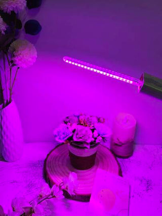 زجاجة ضوء 24 LED نبضات البرتقال مناسبة لديكور غرفة النوم