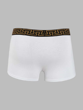 Shein Underwear&Sleepwear Basics سروال داخلي بوكسر شريط شريط خصر 3 قطع للرجال
