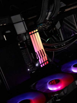 KINGSTON Kingston وحش الغضب RGB DDR5 16 جيجابايت / 32 جيجابايت 6000 ميجاهرتز ذاكرة الوصول العشوائي للكمبيوتر المكتبي المتحمسين للألعاب (أسود)