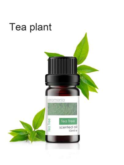 زيت أساسي عطري بحجم 10 مل، مناسب لآلة العلاج بالروائح، و موقد العلاج بالروائح، و مصباح العلاج بالروائح، والخشب العطري والأحجار العطرية – شجرة الشاي
