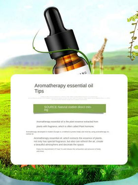 قطعة واحدة من الزيت العطري الأساسي بالزهور سعة 10مل - عطر فاخر للمبخرات وأجهزة الترطيب والعلاج بالعطور - برائحة الأناناس والتوت العليق والبرتقال الحلو والليمون والكرز والجريب فروت والخوخ شبه الناضج، المستخدم للاسترخاء وتحسين المزاج