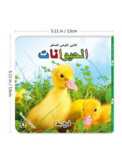 TEENYBABY 1 طقم من 6 بطاقات تعليمية عربية مبكرة للأطفال بمقاس 13 سم * 13 سم، بطاقات تعرف على الصور وتعلم المفردات، ألعاب تعليمية مونتيسوري، هدايا عيد الميلاد والشكر والعام الجديد، عودة إلى المدرسة