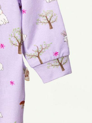 Cozy Pixies مجموعة بيجاما لحديثي الولادة من الذكور، مكونة من 2 قطعة، أرنب وفطر بنمط مصنوع من الأكريليك الناعم طويل الأكمام وذو قدمين