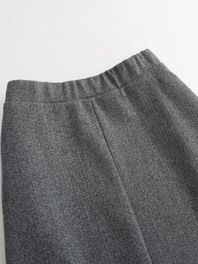 SHEIN LUNE تنورة كاجوال قصيرة على شكل حرف A، للخريف والشتاء، تنورة ماكسي للنساء